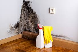 Best Residential Mold Inspection & Testing  in Rio Verde, AZ